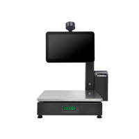 PSJ2000-1N1 POS Terminal